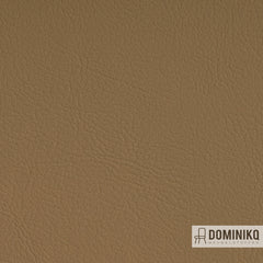 Vyva Fabrics - Valencia - 107-1050 - Beige