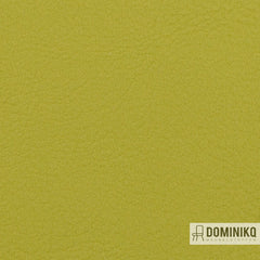 Vyva Fabrics - Valencia - 107-2110 - Avocado