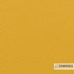 Vyva Fabrics - Valencia - 107-2111 - Squash