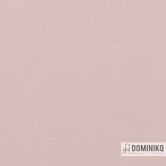 Vyva Fabrics - Valencia - 107-2113 - Lotus