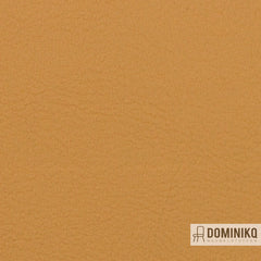 Vyva Fabrics - Valencia - 107-2116 - Camel