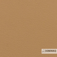 Vyva Fabrics - Valencia - 107-2117 - Cashmere