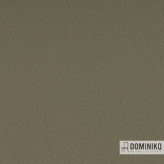 Vyva Fabrics - Valencia - 107-4002 - Laurel