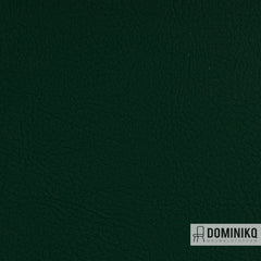 Vyva Fabrics - Valencia - 107-5069 - Green