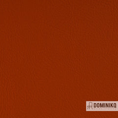 Vyva Fabrics - Valencia - 107-6003 - Nectarine