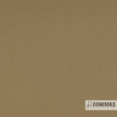 Vyva Fabrics - Valencia - 107-6020 - Gold