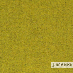 Switch - Facet - Yellow 24