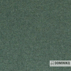 Switch - Facet - Mint 50