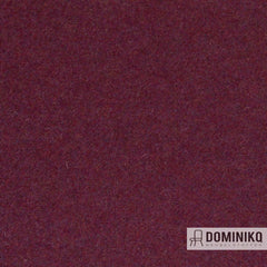 Switch - Facet - Aubergine 74