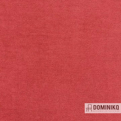 Aristide - Arthur II - 410 Coral