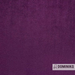 Aristide - Avalon II - 035 Boysenberry