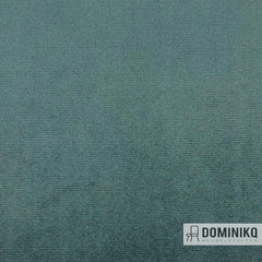 Aristide - Avalon II - 705 Petrol