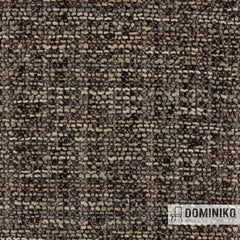 Aristide - Brutus - 260 Cafe