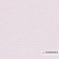 Aristide - César - 100 White