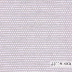 Aristide - César - 110 Dove