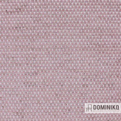 Aristide - César - 500 Rose Dust