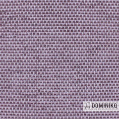 Aristide - César - 560 Thistle