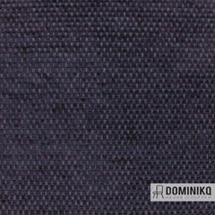 Aristide - César - 590 Aubergine