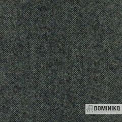 Aristide - Qashqai - 790 Forest