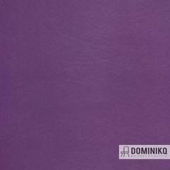 Aristide - Sterling - 18 Aubergine