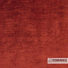 Aristide - Troy - 21 Amber