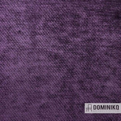 Aristide - Troy - 35 Amethyst