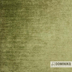 Aristide - Troy - 51 Willow