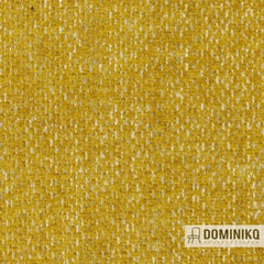 Aristide - William - 340 Honey