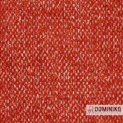 Aristide - William - 380 Tangerine