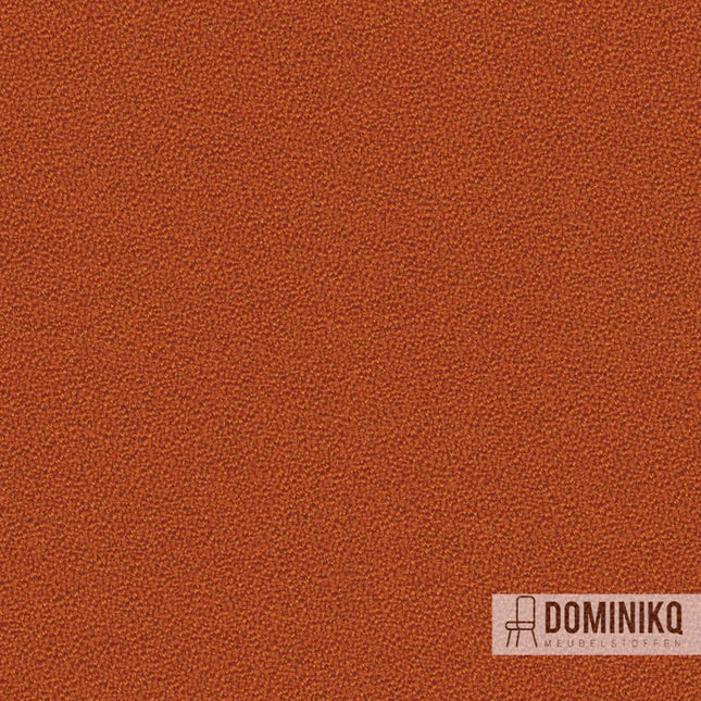 Camira - Aquarius - JA068 - Amber