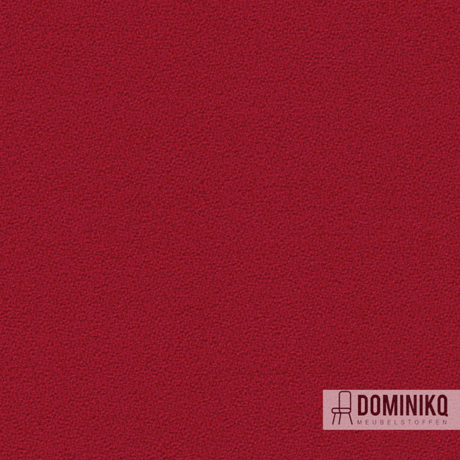 Camira - Aquarius - JA419 - Cherry