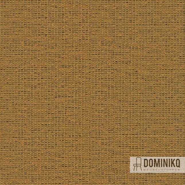 Camira - Gravity - CPC14 - Mustard