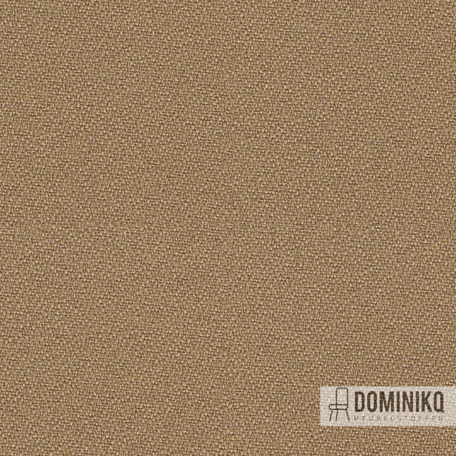 Camira - Intervene Plain - YH071