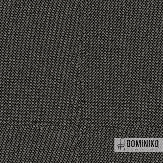 Camira Fabrics - Sprint - PS030 - Speed