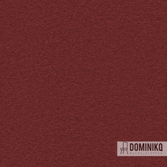 Camira Fabrics - Synergy - LDS79 - Amiable