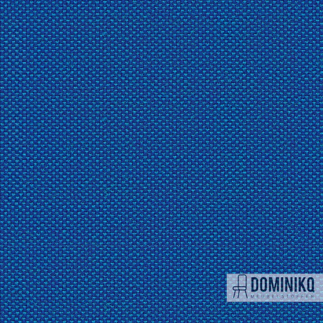 Camira Fabrics - Zap - ZAP22 - Zoom