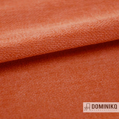 Casal - Amara - 451 Braise