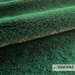 Casal - Tignes - 34 Sapin