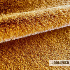 Casal - Tignes - 43 Safran