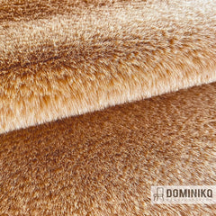 Casal - Tignes - 76 Chamois