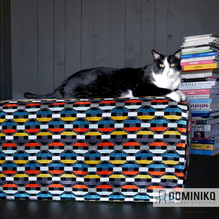 Zwart-witte kat ligt op kleurrijk Bobino-patroon decoratieve stoel voor donkere muur, boekenstapel op de achtergrond.