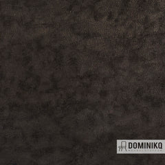 Casal - Frevo - 55 Moka