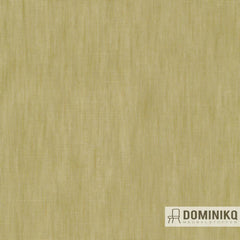 De Ploeg - Forecast - 06