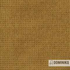 Fabraa - Regain - 23 - Ocre