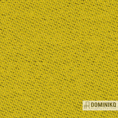 Gabriel - Chili - 62085