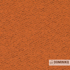 Gabriel - Chili - 63099