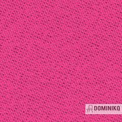 Gabriel - Chili - 64197