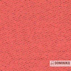 Gabriel - Chili - 64199