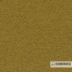 Gabriel - Chili - 68198