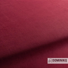 JAB Anstoetz - Champion Vol1 - 1-3114-064